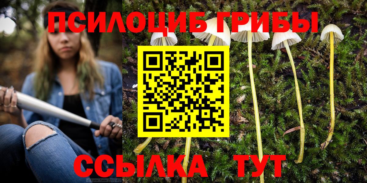 что такое наркотик  Вход с VPN  Будённовск  Галлюциногенные грибы ЛСД 