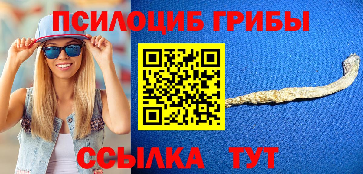 Галлюциногенные грибы ЛСД Будённовск